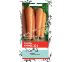 Морковь НИИОХ 336   2гр. Поиск