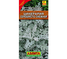 Цинерария Серебристо-снежная  0,1 г Аэлита